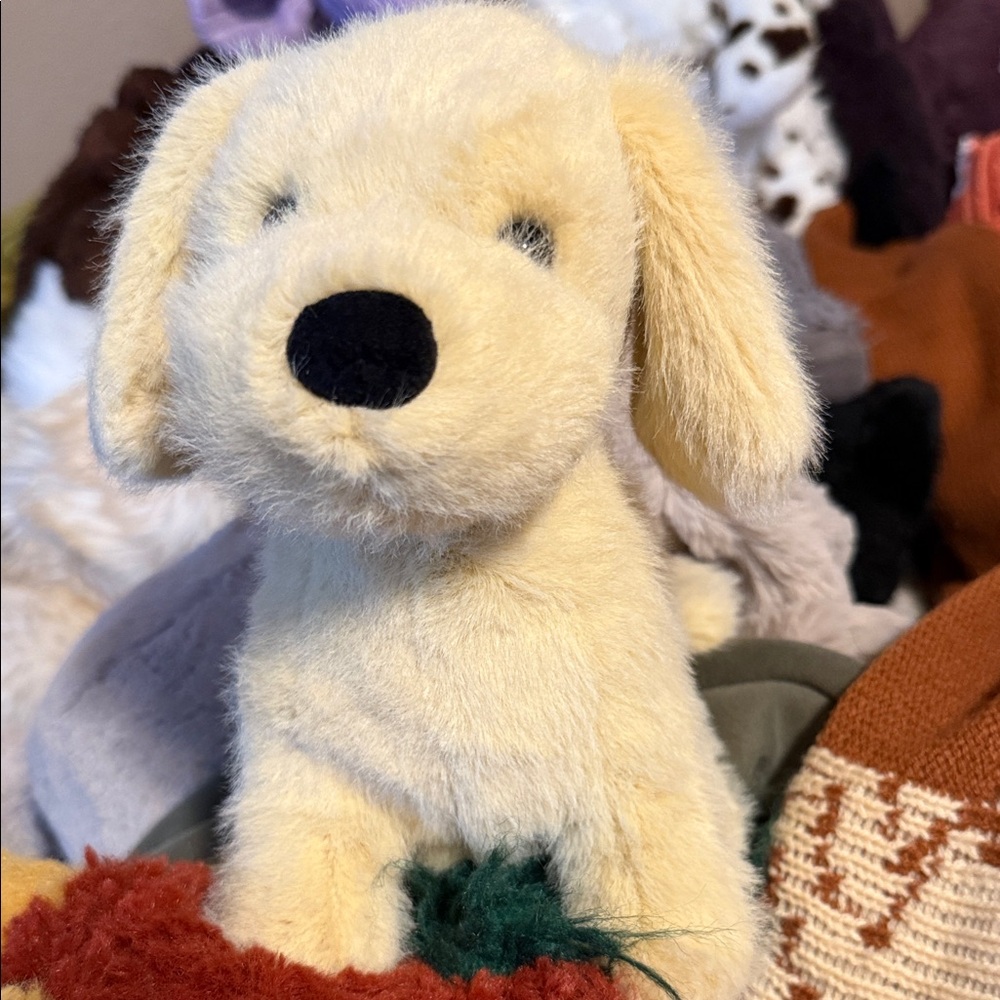 Jellycat golden puppy